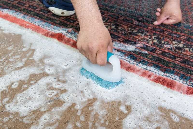 rug cleaning 5