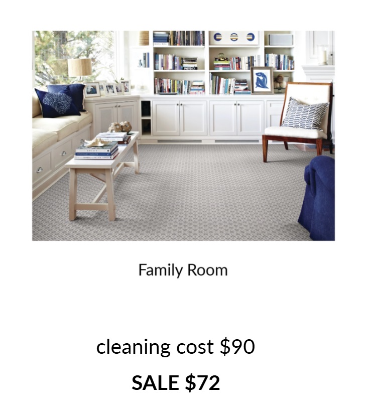 Sale prices Kashian Bros 20 off Carpet cleaning sale family room
